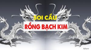 Soi cầu 247 rồng bạch kim ngày 20/12/2023