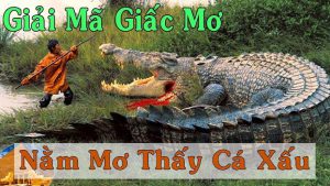 Mơ thấy cá sấu chơi lô đề gì