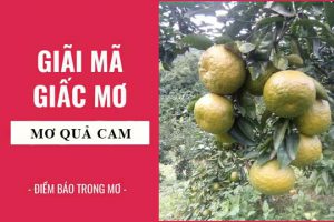 Mơ thấy quả cam đánh lô đề gì