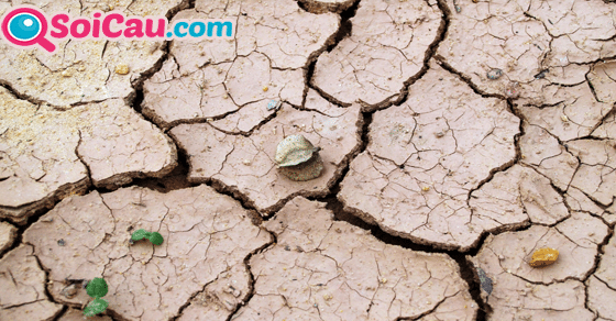 Thông điệp giấc mơ thấy đất