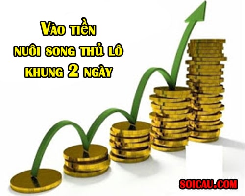 vào tiền nuôi song thủ lô khung 2 ngày